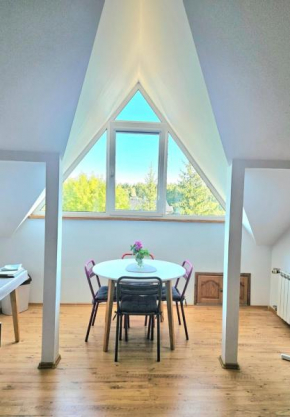 Apartment na poddaszu, Augustow